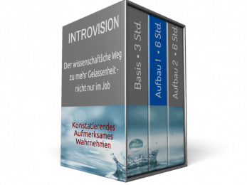 Introvision Aufbau 1
