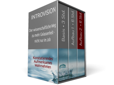 Introvision Aufbau 2